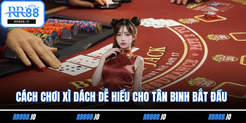 Cách Chơi Xì Dách Dễ Hiểu Cho Tân Binh Bắt Đầu Tham Gia