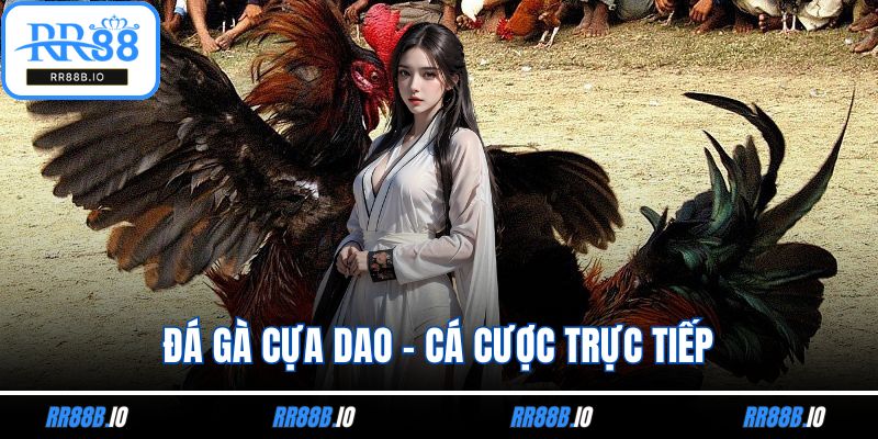 Đá Gà Cựa Dao - Cá Cược Trực Tiếp Vô Cùng Kịch Tính