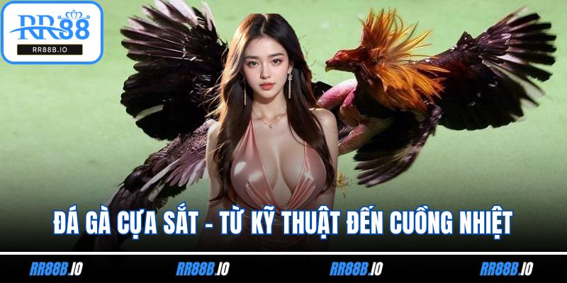 Đá Gà Cựa Sắt – Từ Kỹ Thuật Đến Cuồng Nhiệt Trận Đấu
