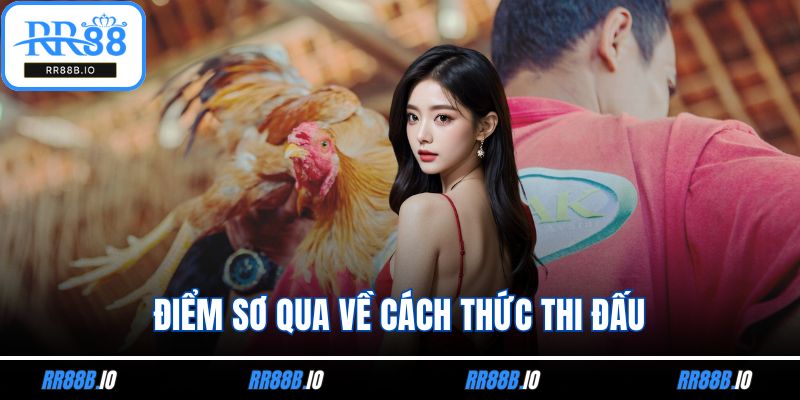 Điểm sơ qua về cách thức thi đấu