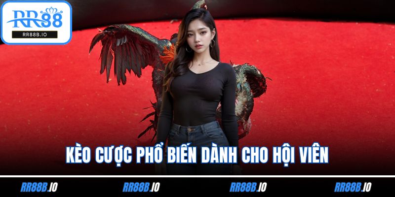 Kèo cược phổ biến dành cho hội viên