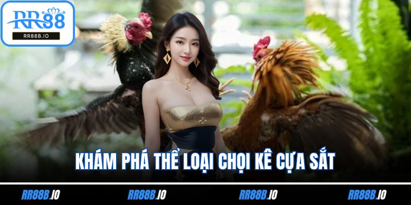Khám phá thể loại chọi kê cựa sắt