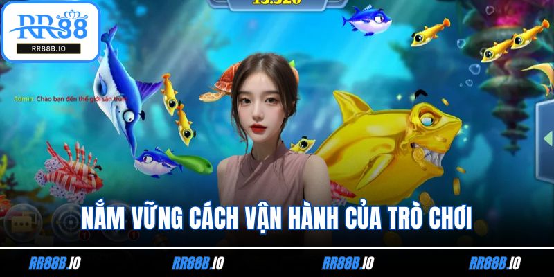 Nắm vững cách vận hành của trò chơi