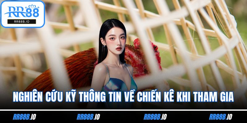 Nghiên cứu kỹ thông tin về chiến kê khi tham gia
