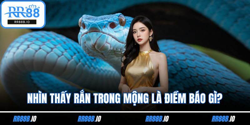 Nhìn thấy rắn trong mộng là điềm báo gì?