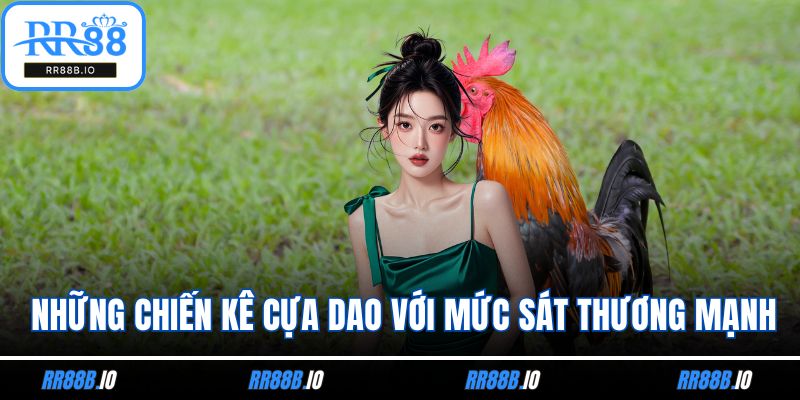 Những chiến kê cựa dao với mức sát thương mạnh