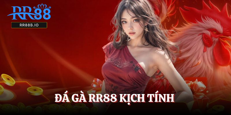 Đá gà RR88 kịch tính