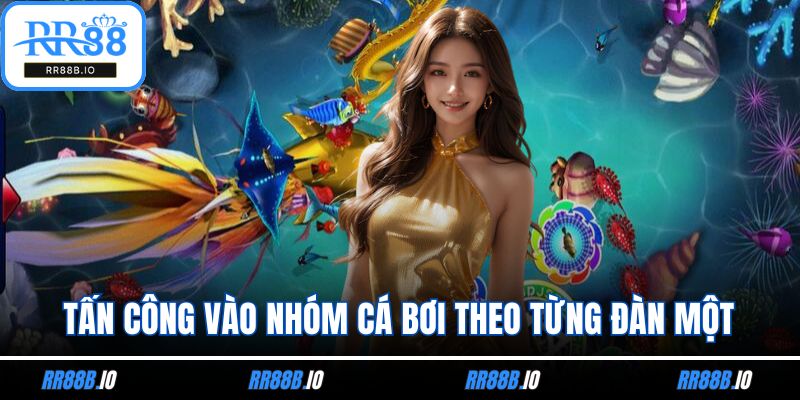 Tấn công vào nhóm cá bơi theo từng đàn một