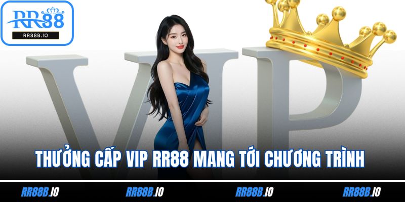 Thưởng cấp Vip RR88 mang tới chương trình hoàn trả