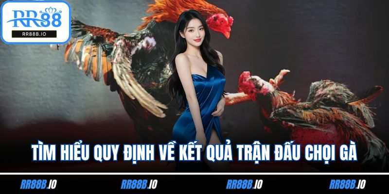 Tìm hiểu quy định về kết quả trận đấu chọi gà