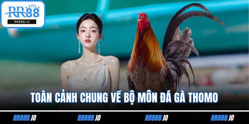 Toàn cảnh chung về bộ môn đá gà Thomo